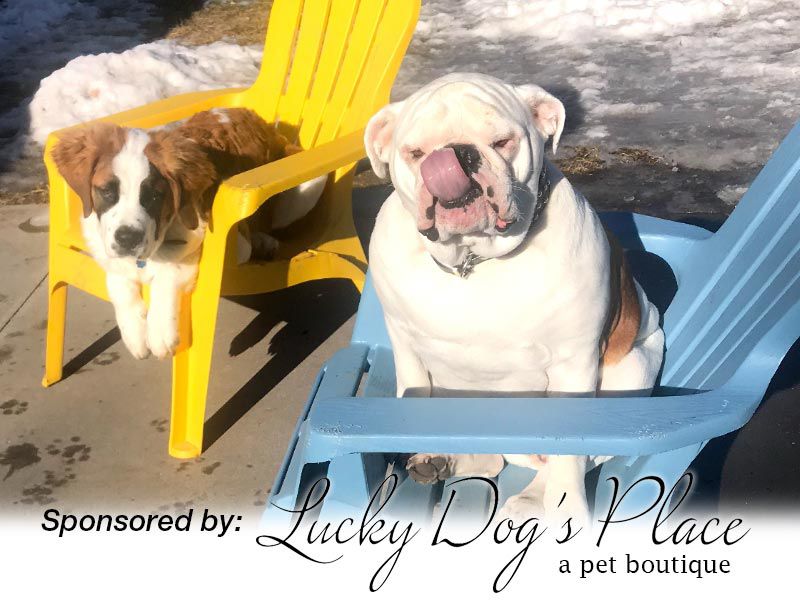 Lilly & Macy